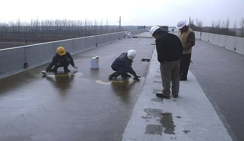 路桥专用防水材料生产厂家 路桥防水价格规格